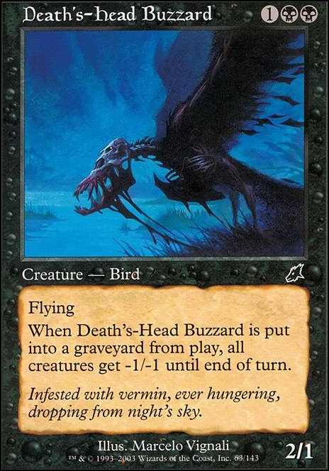 Death's-Head Buzzard feature for SCG / SCG / SCG - 2022-05-28