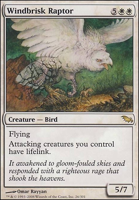 Featured card: Windbrisk Raptor