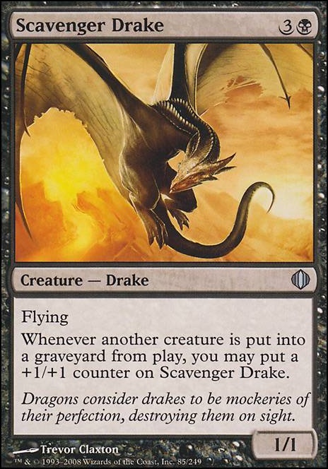 Featured card: Scavenger Drake