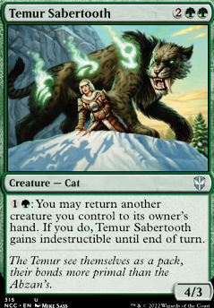 Temur Sabertooth feature for One Fine Day with a Woof and a Purr