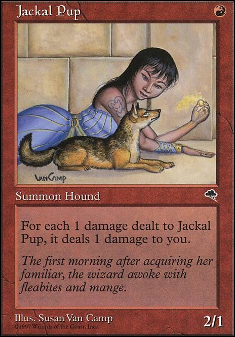 Featured card: Jackal Pup