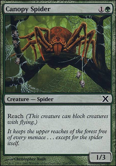 Canopy Spider Canopy Spider