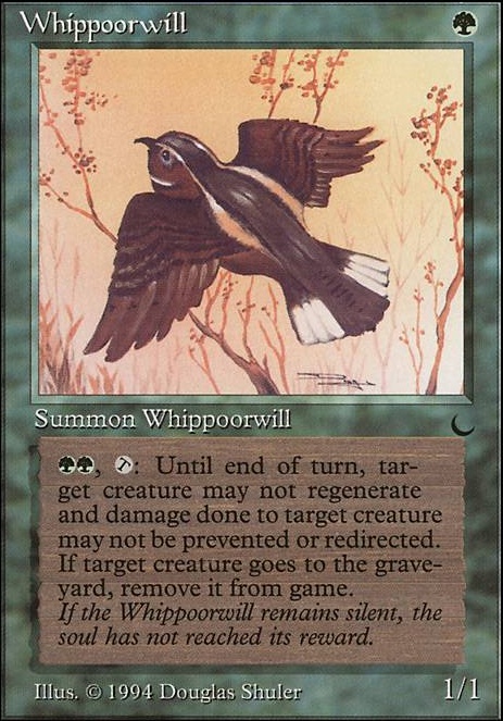 Whippoorwill