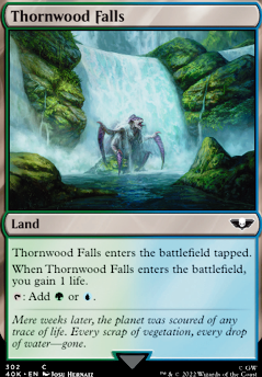 Thornwood Falls feature for Budget Simic Cascade/Partners 6+CMC Bouncy House