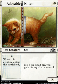 Featured card: Adorable Kitten