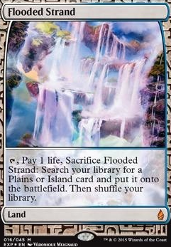Flooded Strand feature for Fast Animar