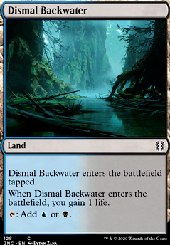 Dismal Backwater Dismal Backwater