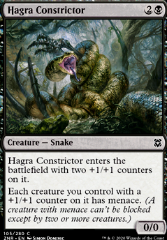 Hagra Constrictor