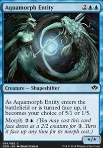 Aquamorph Entity