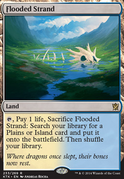 Flooded Strand feature for What's a life total? (Infect with a Plan B!)