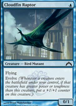 Cloudfin Raptor feature for Simic Evolve - MTG Intro Pack Upgrade #1