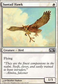 Featured card: Suntail Hawk