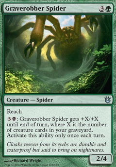 Featured card: Graverobber Spider