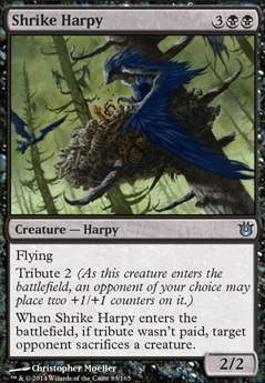 Featured card: Shrike Harpy