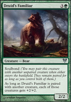 Druid's Familiar feature for The Best Bear Deck in Town