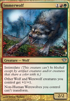 Featured card: Immerwolf
