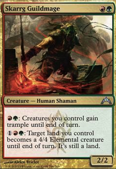 Commander: Skarrg Guildmage