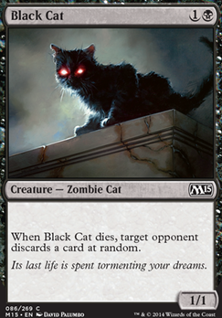 Black Cat feature for Zombie Zoo