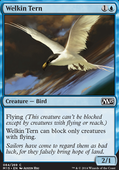 Featured card: Welkin Tern