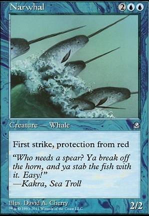 Narwhal Narwhal