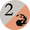 mana symbol 2r