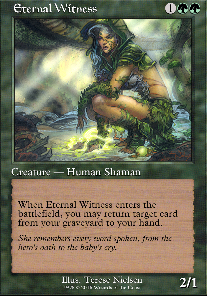 eternal witness card sleeve
