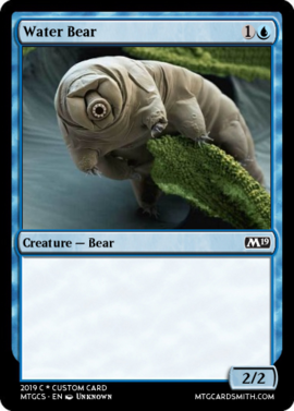 Water Bear