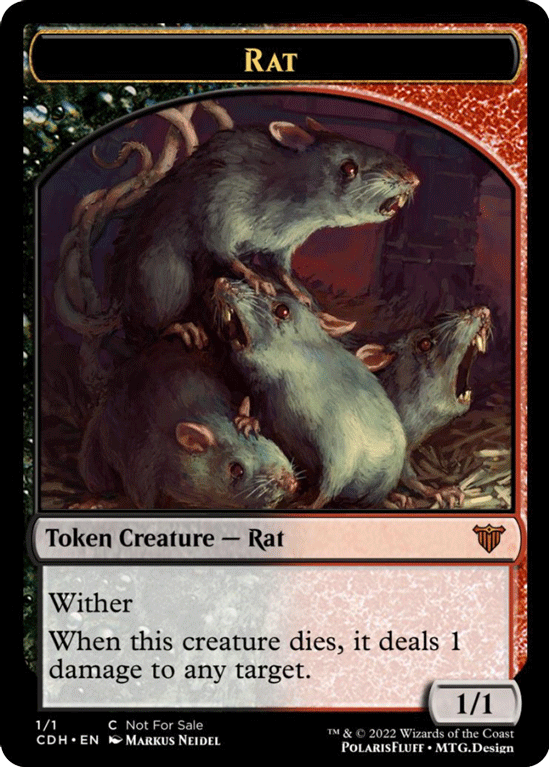 Rat