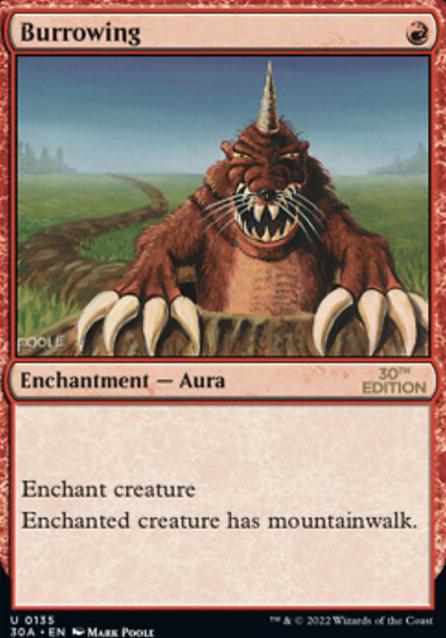 Featured card: Burrowing
