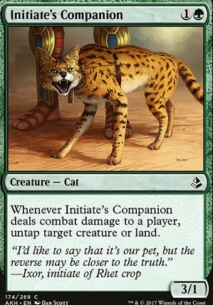 Featured card: Initiate's Companion