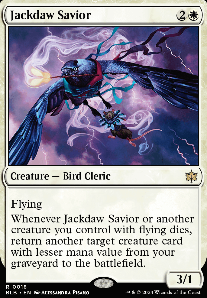 Jackdaw Savior