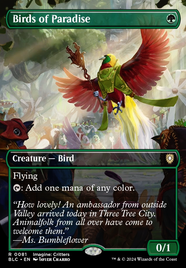 Birds of Paradise feature for Animadness