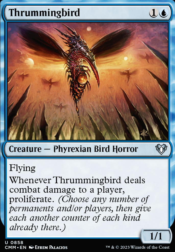 Featured card: Thrummingbird