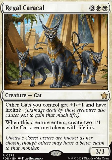 Featured card: Regal Caracal