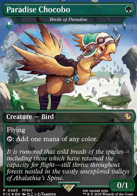 Featured card: Birds of Paradise