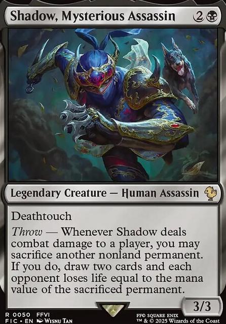 Commander: Shadow, Mysterious Assassin