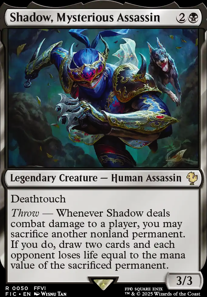 Shadow, Mysterious Assassin