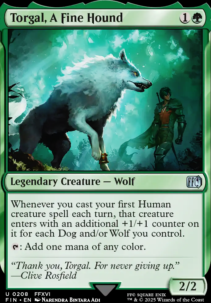 Torgal, A Fine Hound feature for Torgal, A Fine Hound