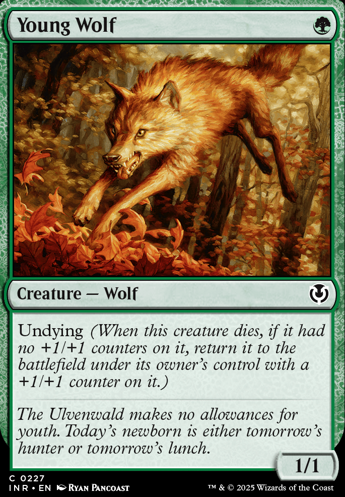 Featured card: Young Wolf