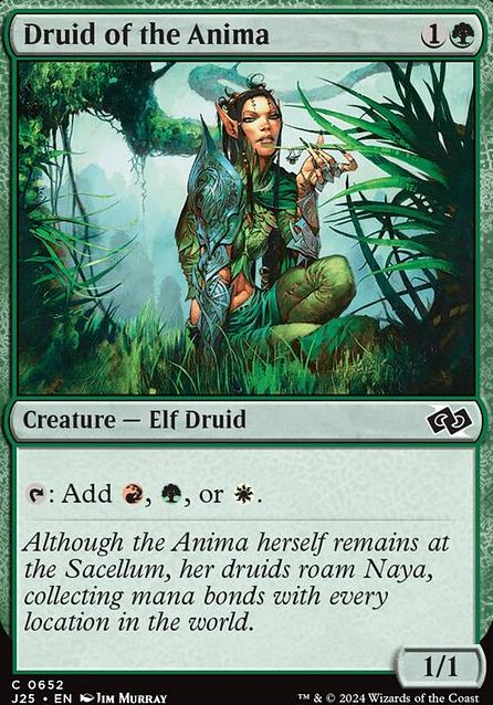 Druid of the Anima