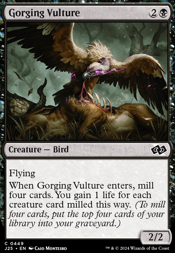 Gorging Vulture