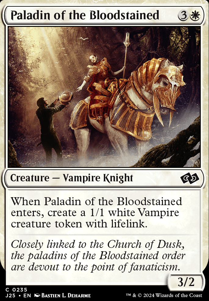 Paladin of the Bloodstained