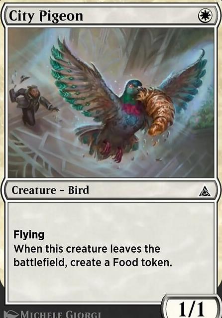 City Pigeon feature for Made in America (these colors don't run)