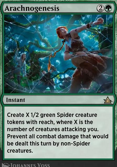 Arachnogenesis