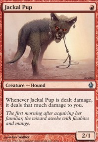 Featured card: Jackal Pup