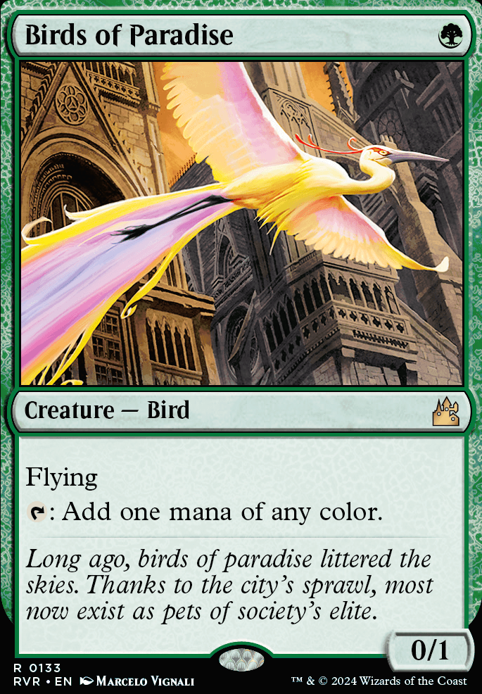 Featured card: Birds of Paradise