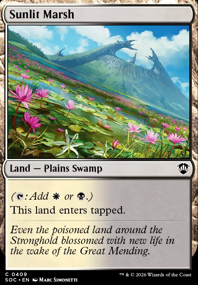 Sunlit Marsh