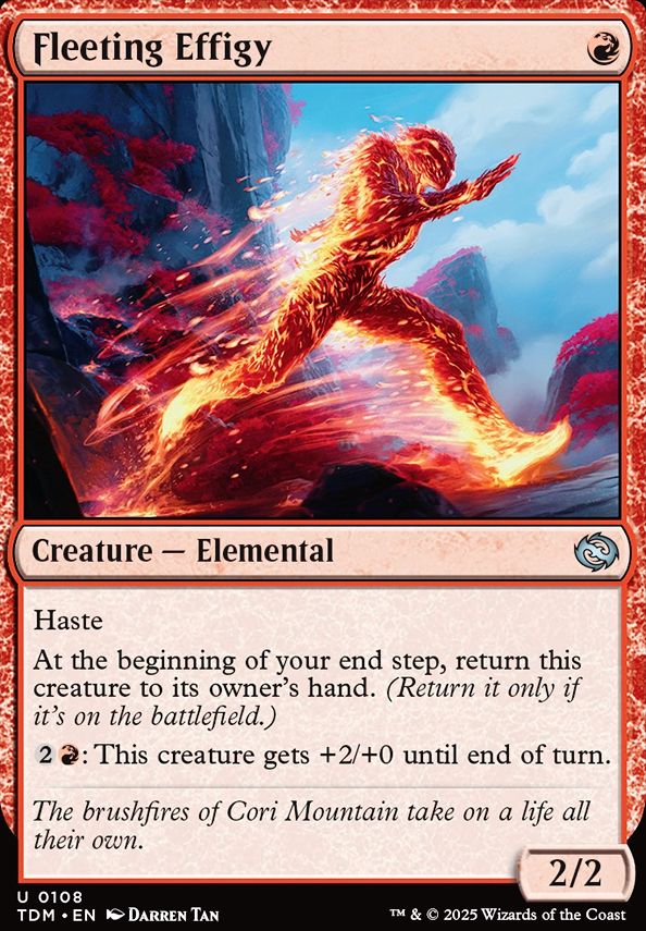 Fleeting Effigy