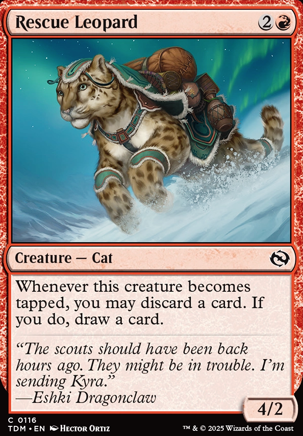 Rescue Leopard