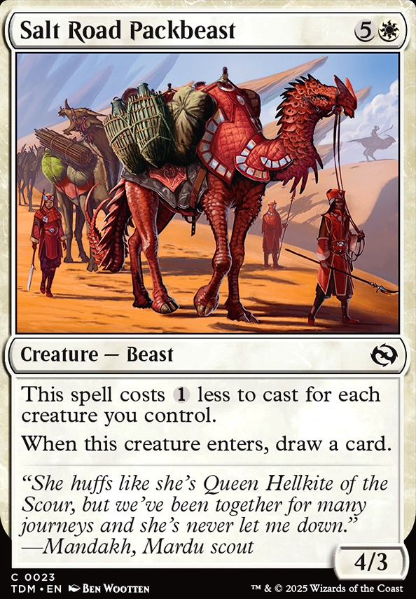 Salt Road Packbeast